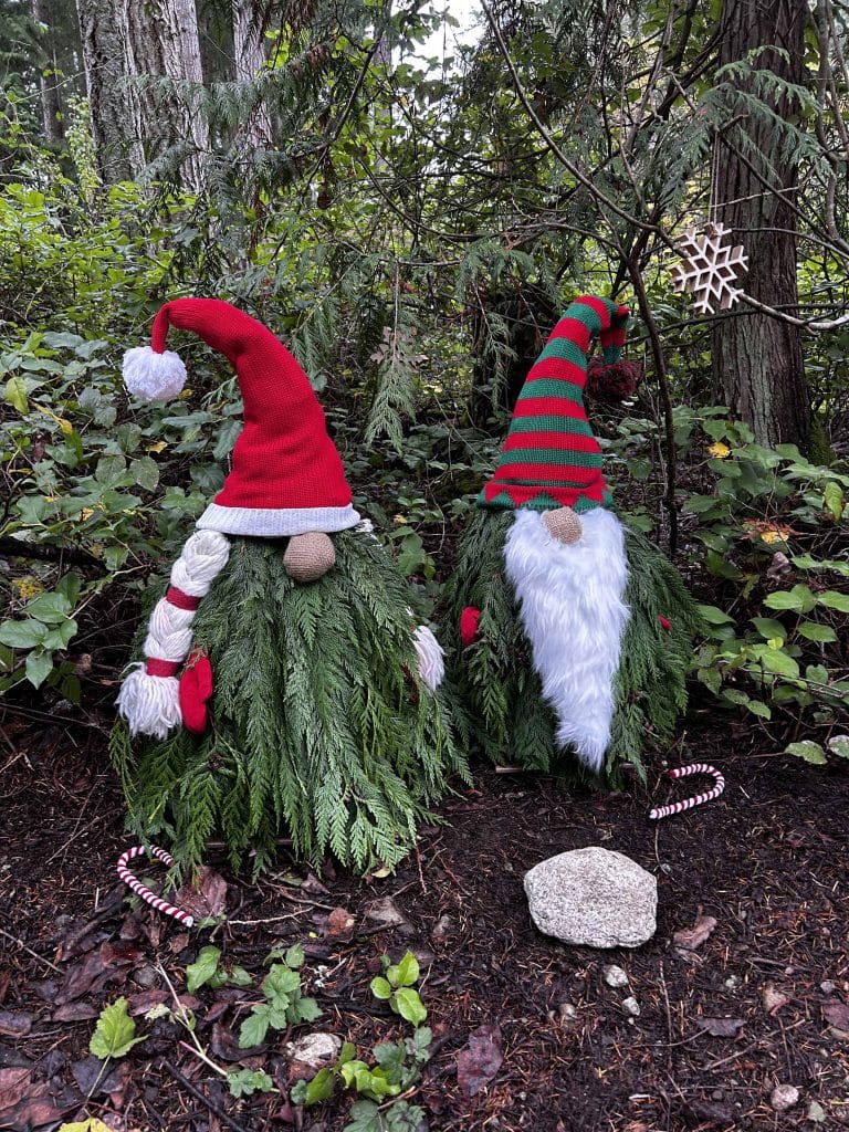 Photos of gnomes assembled from cedar branches, red Santa hats, and a funny notes. A couple plastic candy canes on the ground.  
