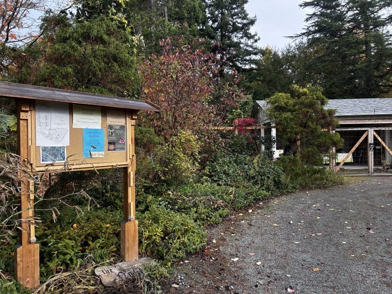 What’s Up at Noble Garden This Season? 