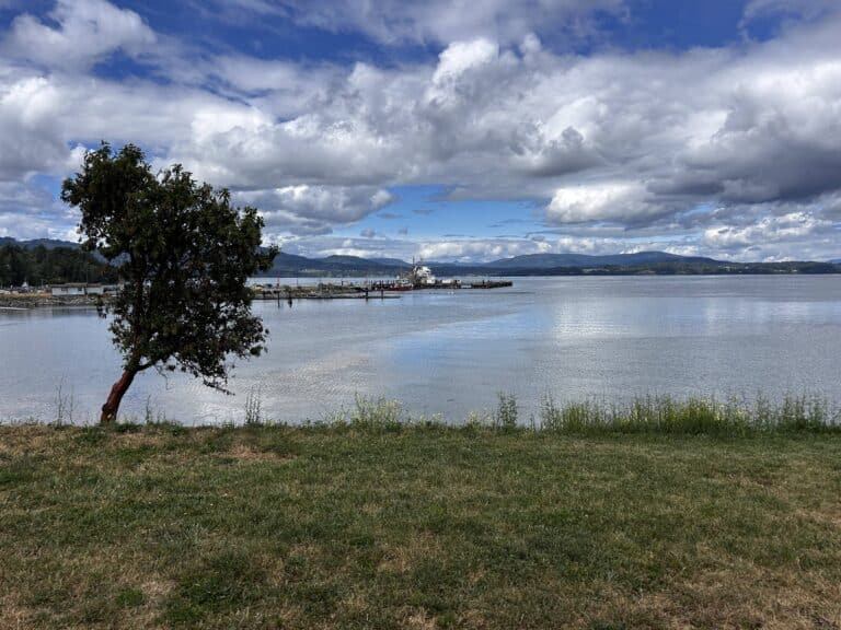 North Saanich on Foot (NSoF): 4.2 km Loop of Shoreline, Country Roads, Farm Stand, Boats, Planes, and Traces of Old Trains*